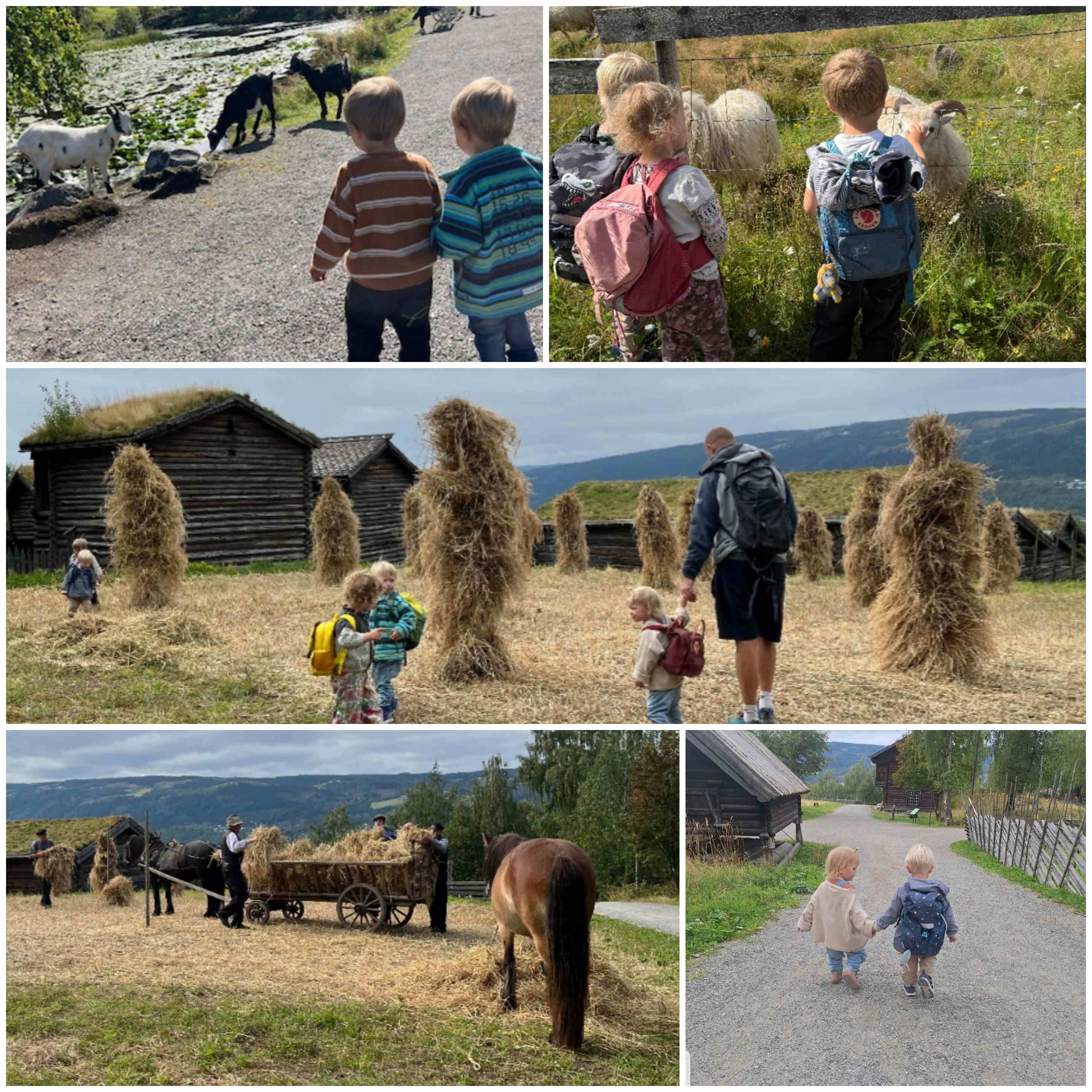 hjemmeside august 2025 3