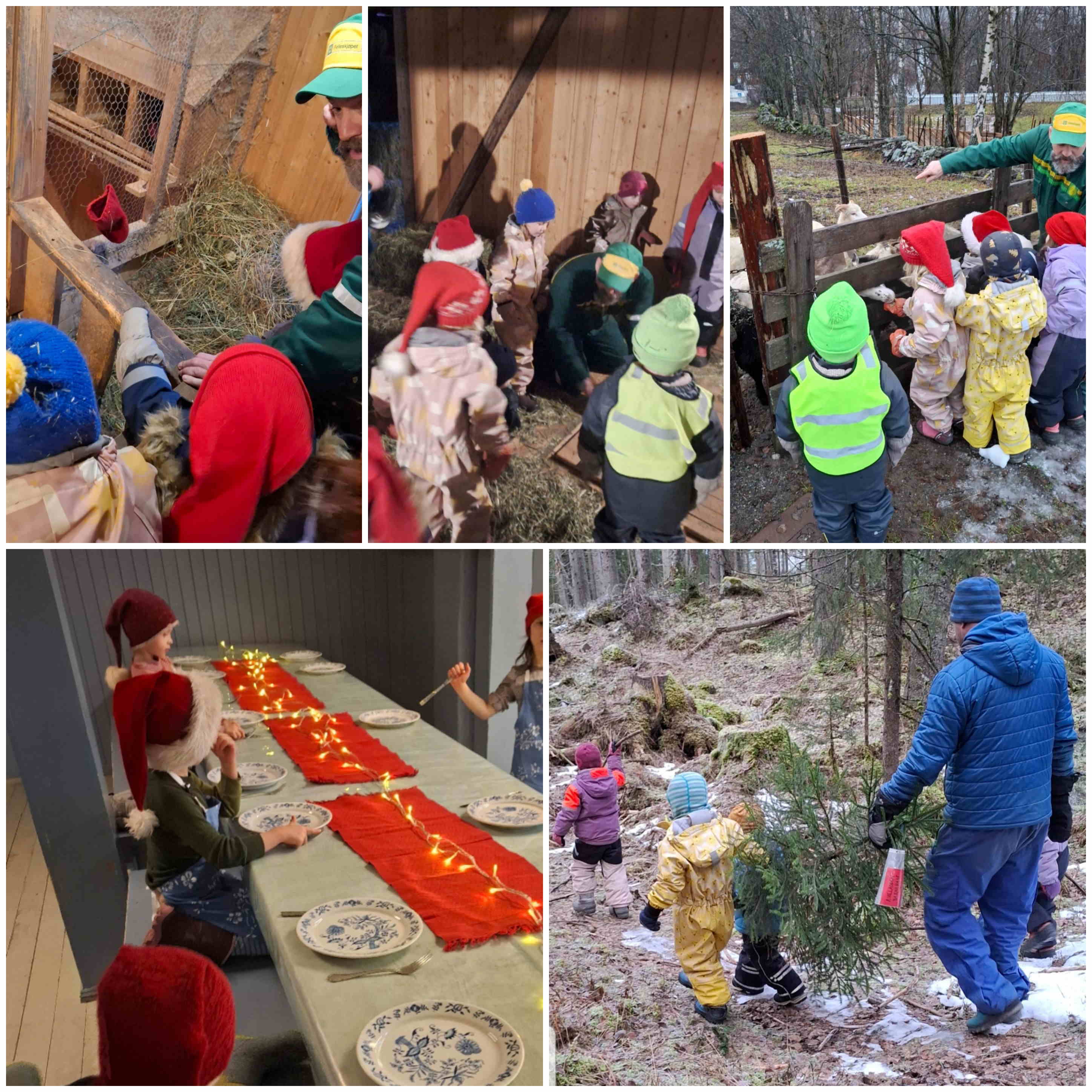 hjemmeside desember 2025 3