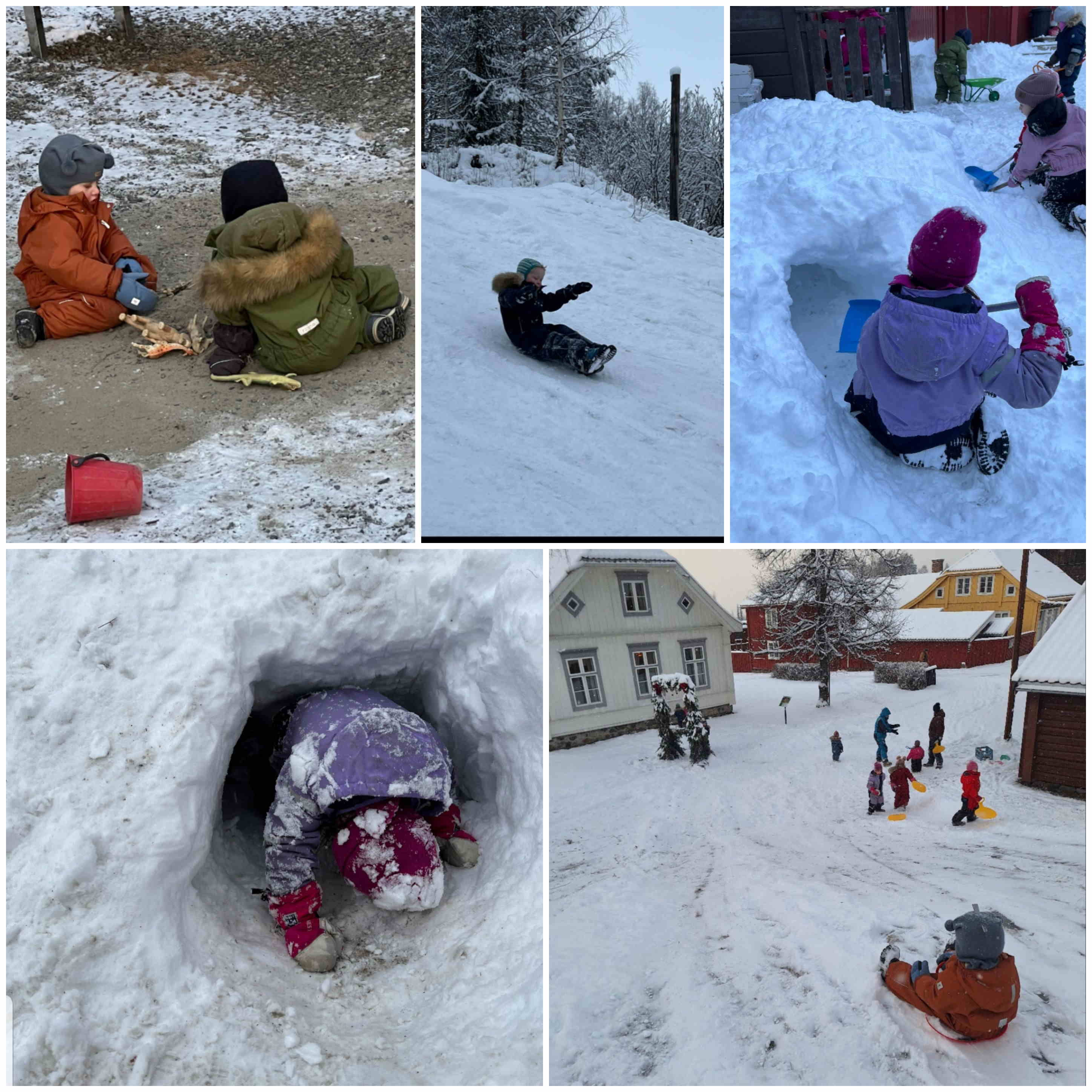 hjemmeside januar 2026 1