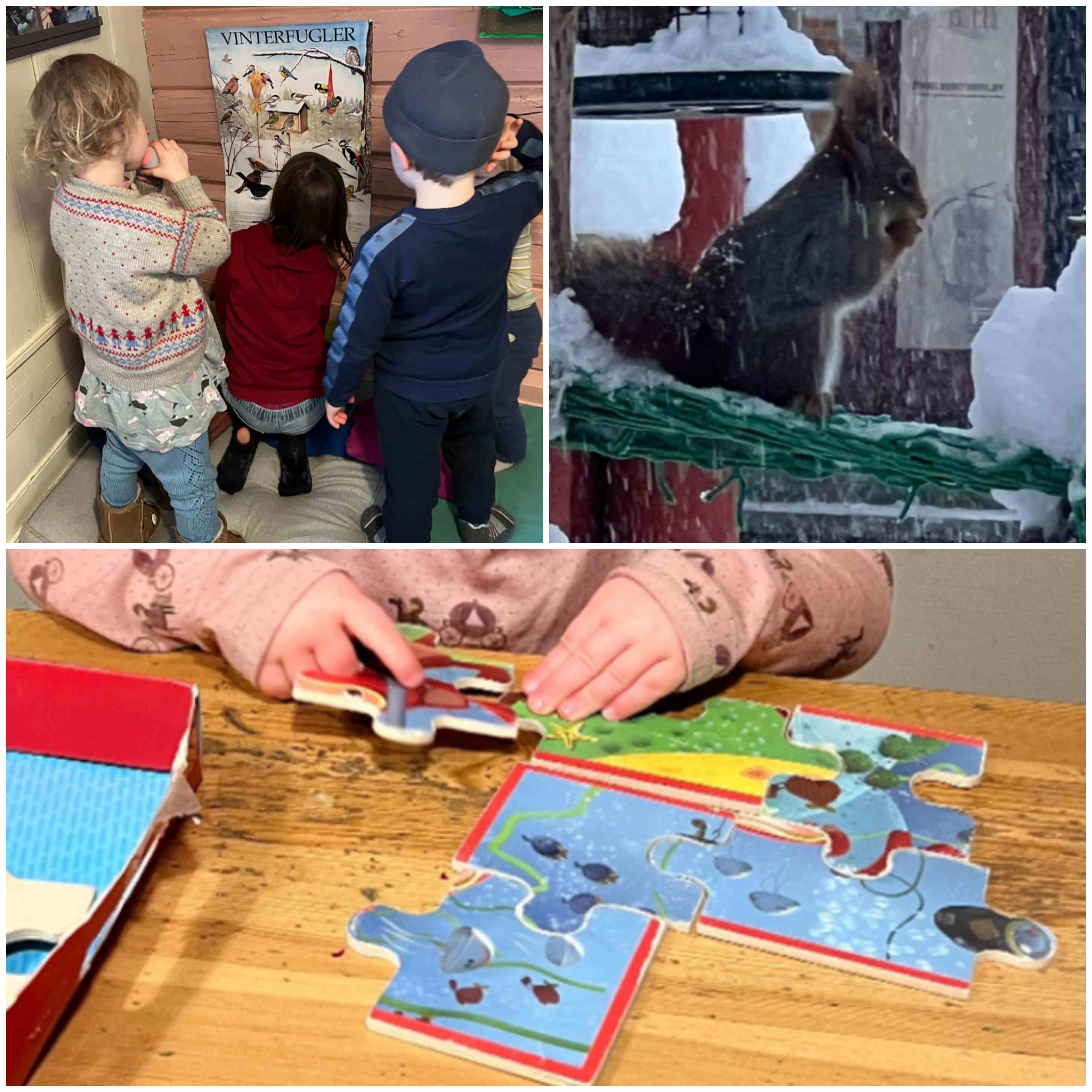 hjemmeside januar 2026 4