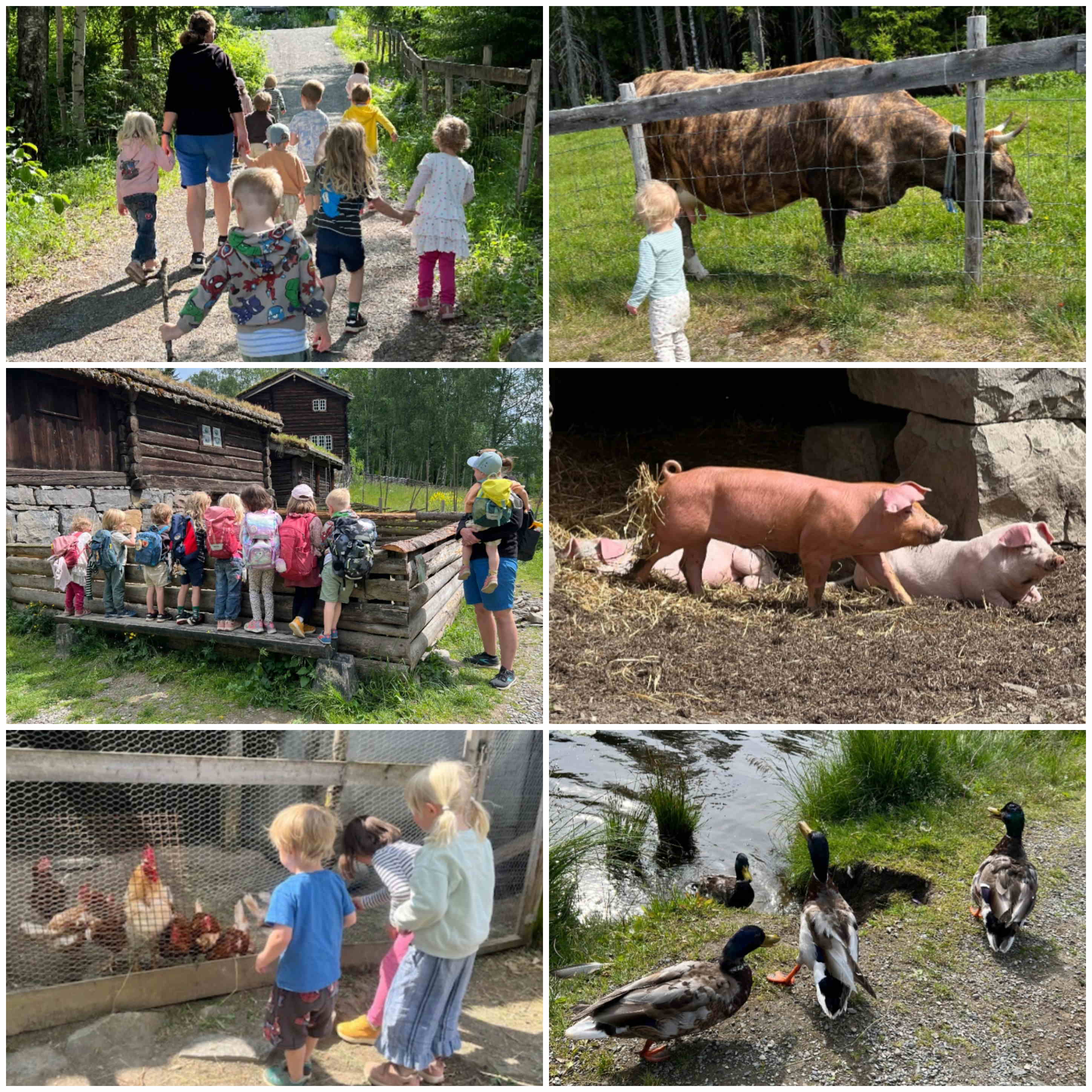 hjemmeside juni 2025 2