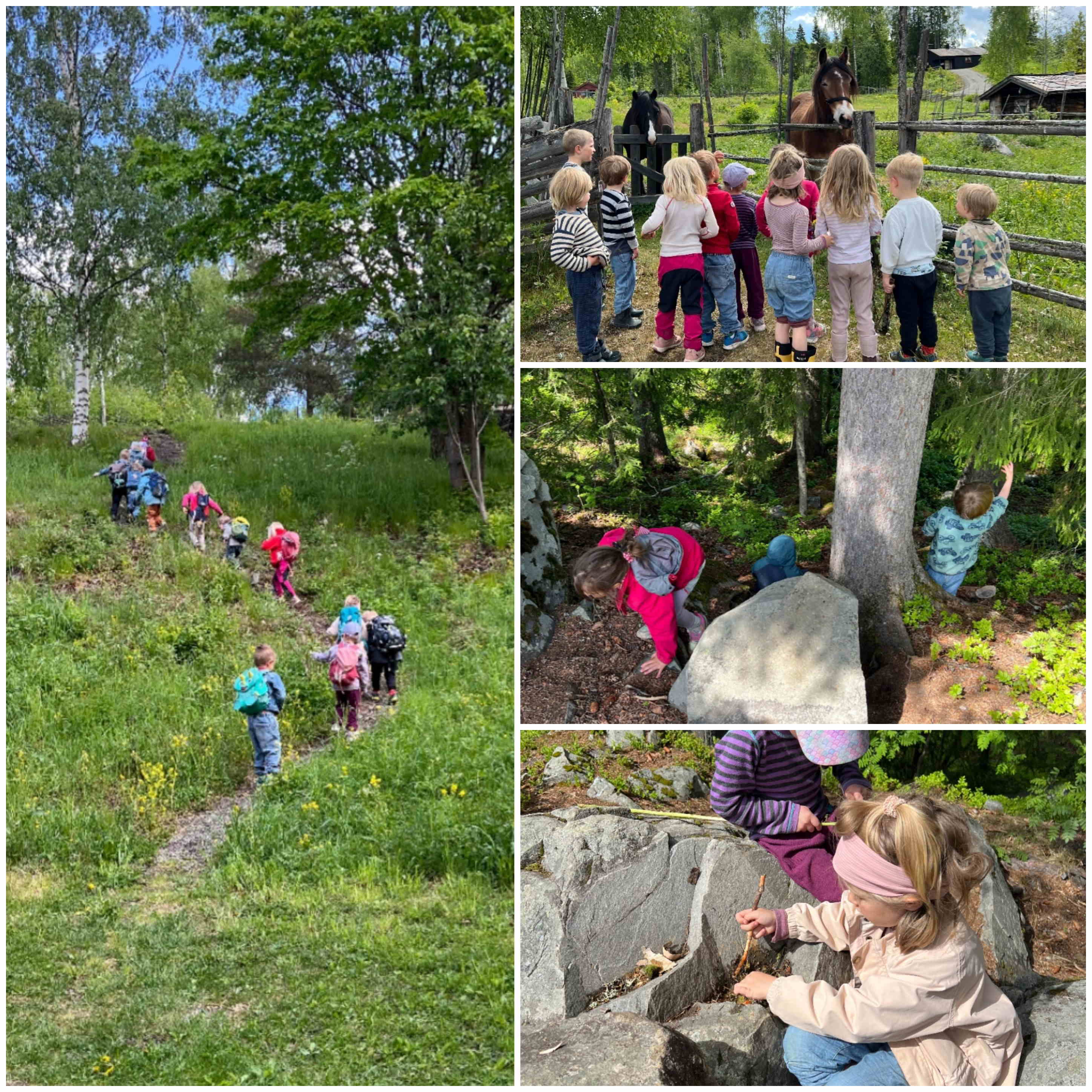 hjemmeside mai 2025 4