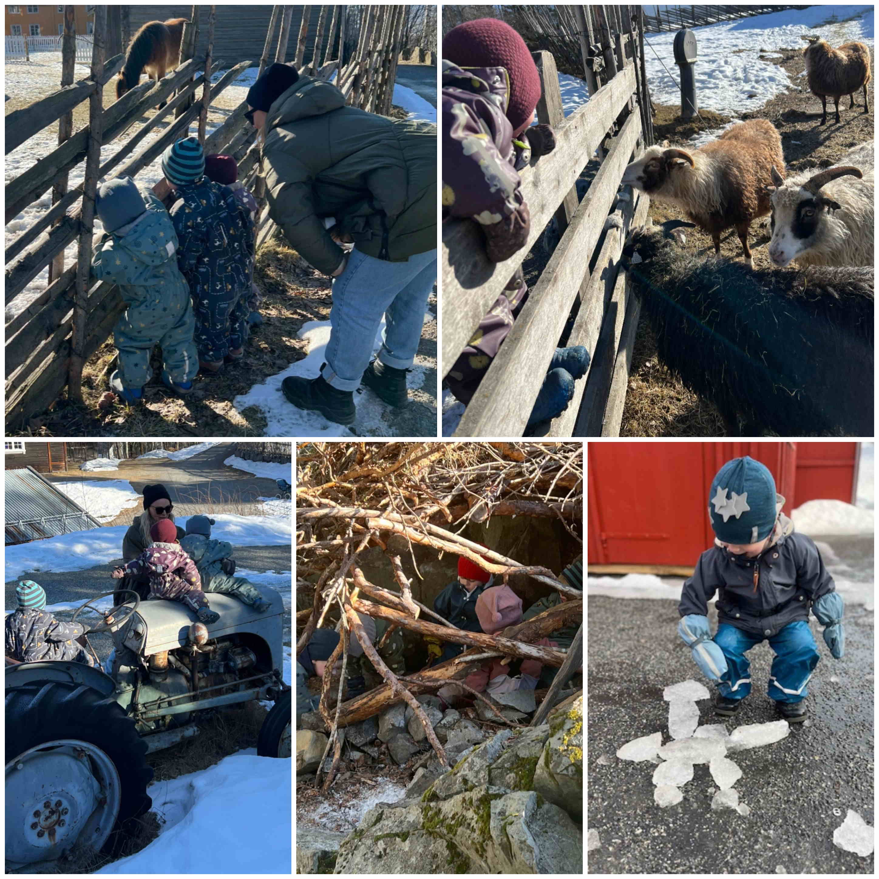 hjemmeside mars 2025 2