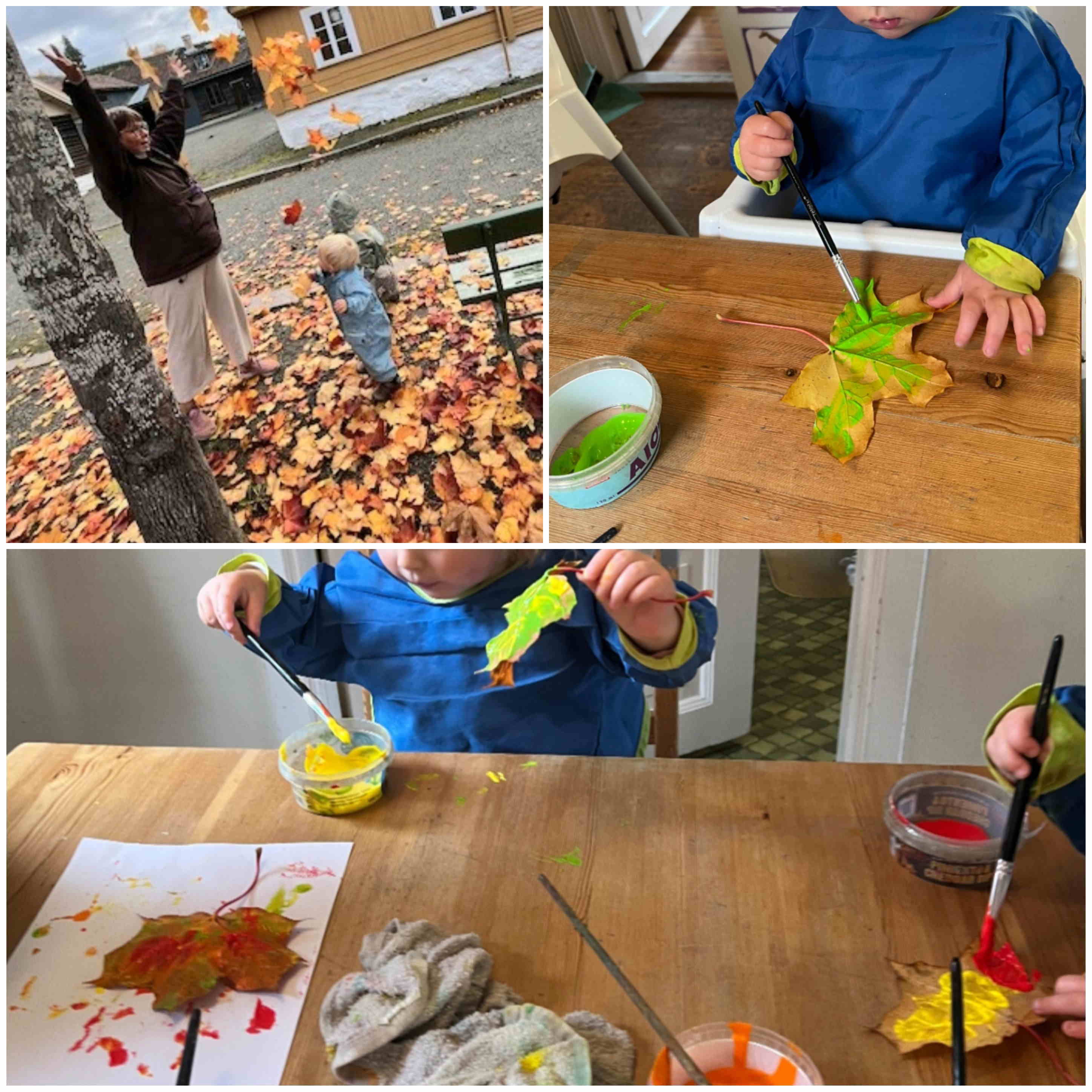 hjemmeside oktober 2025 3