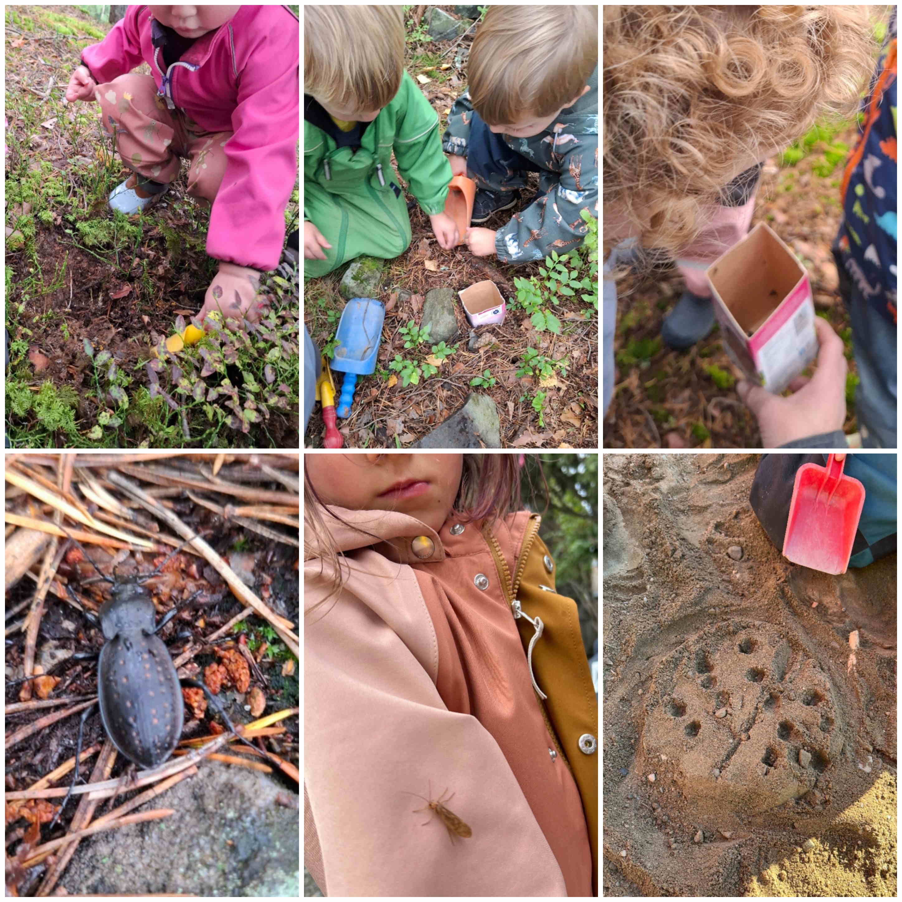 hjemmeside september 2025 1