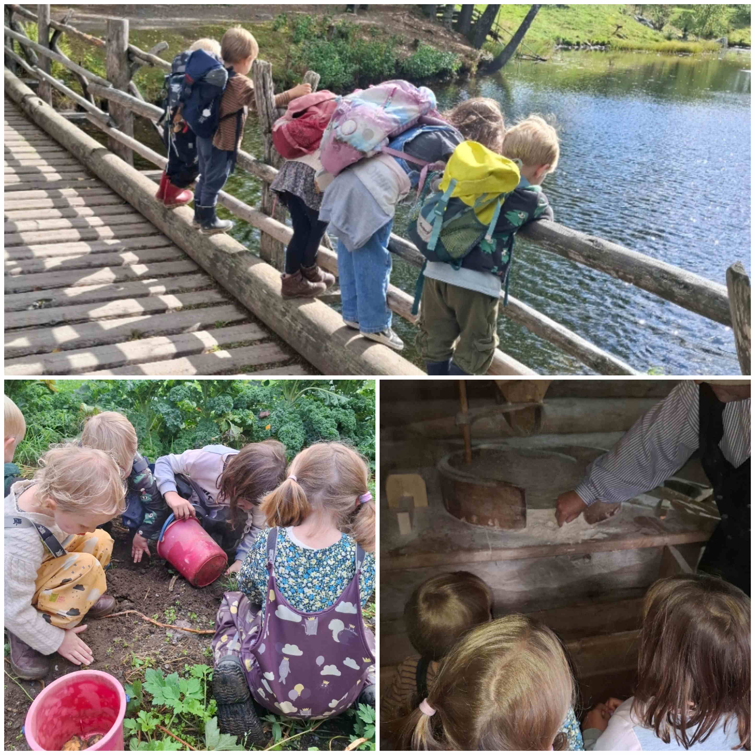 hjemmeside september 2025 2