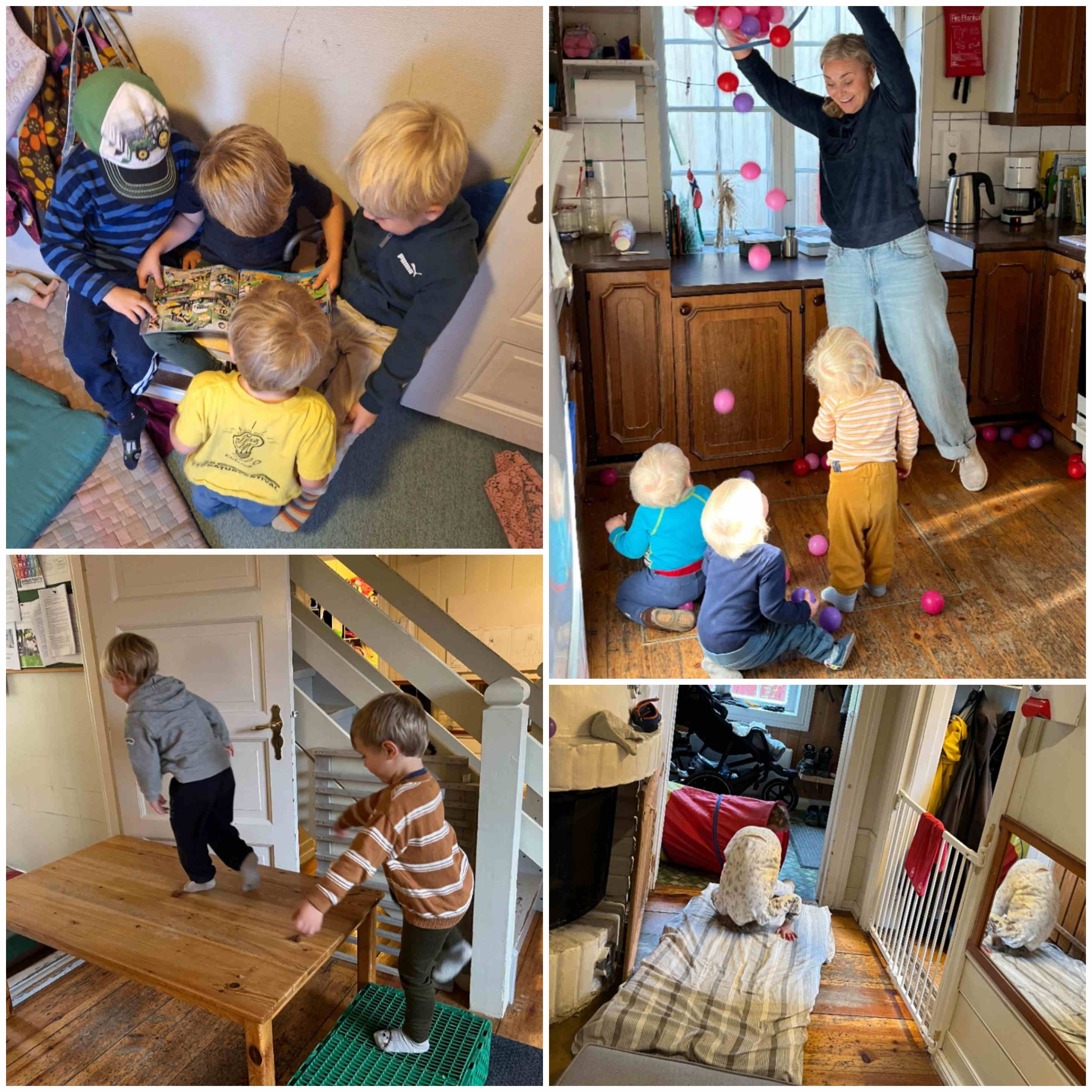 hjemmeside september 2025 3